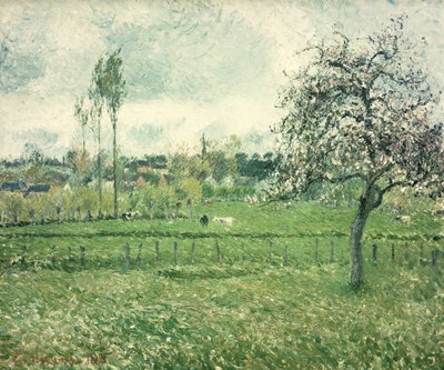 Meadow at Eragny by Camille Jacob Pissarro